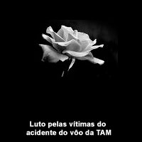 Uma flor em homenagem as vítimas do acidente com o avião da TAM