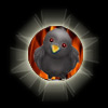 Apocalipse2000 no Twitter
